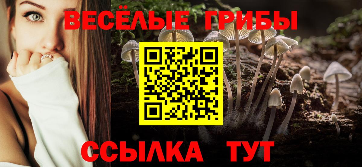 Псилоцибиновые грибы мицелий Всеволожск