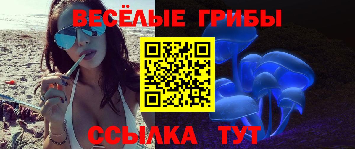 Галлюциногенные грибы MAGIC MUSHROOMS  Вход с VPN  Всеволожск 